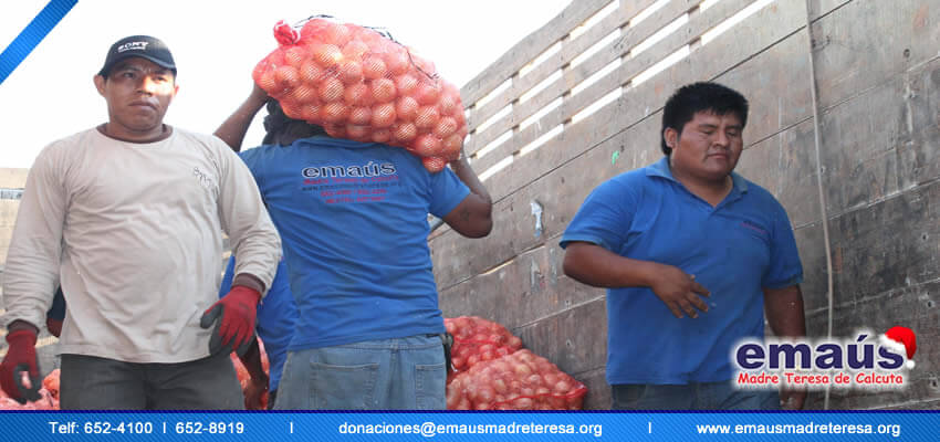 Donación cebollas