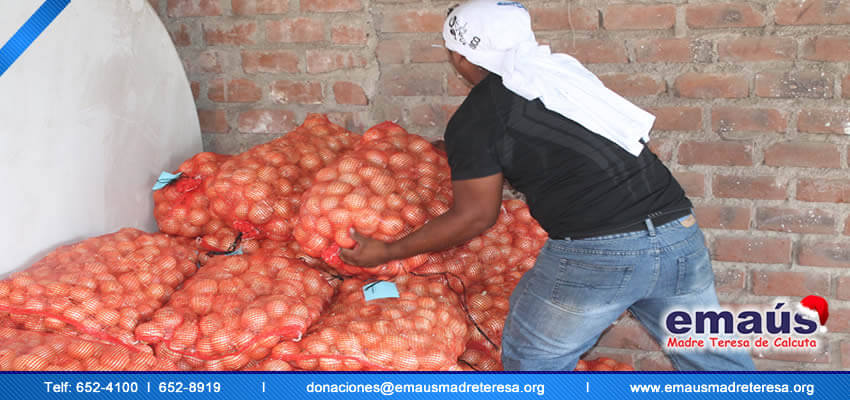 Donación cebollas