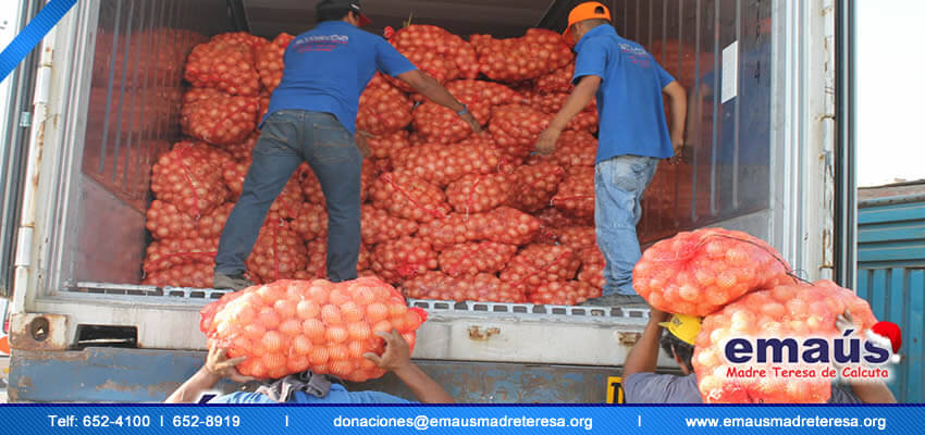 Donación cebollas